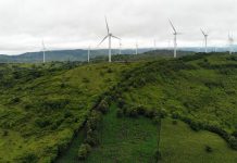 Pemerintah Diminta Permudah Izin Penggunaan Energi Terbarukan