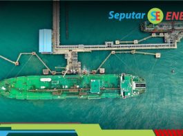 Pertamina Luncurkan Green Terminal, Langkah Strategis Perkuat Ketahanan Energi Rendah Karbon