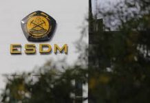 Investasi Energi Baru RI Miliki Potensi 700 GW