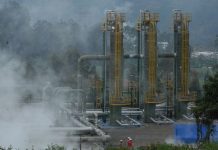 Mengalahkan Amerika, Pertumbuhan Energi Terbarukan Indonesia Tertinggi di Dunia