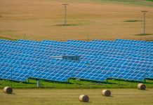 Strategi Pemerintah dan PLN dalam Mengembangkan Energi Terbarukan