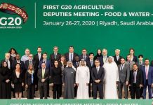 Di Forum G20, Indonesia Jelaskan Pentingnya Pasokan Energi untuk Pemulihan Ekonomi Global