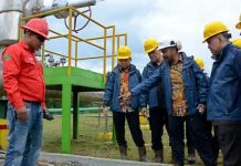Geo Dipa Tambah Kapasitas PLTP hingga 110 MW untuk Genjot Energi Bersih