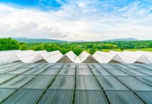 Bank Dunia Nilai Subsidi Energi dan Pupuk RI Tidak Tepat Sasaran