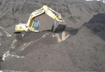 PJB Kembangkan Co-Firing Manfaatkan EBT, Apa Itu?