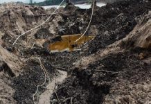 Pemerintah Diminta Tertibkan Penambangan Timah Ilegal