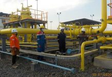 Komitmen Perusahaan Gas Negara (PGN) sebagai sub holding Pertamina untuk Akselerasi Pemulihan Ekonomi Nasional