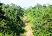 Universitas Jambi Menolak Rencana Pembangunan Jalur Tambang Kawasan Hutan Harapan