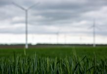 Koalisi Masyarakat serukan agar DPR fokus pada energi terbarukan