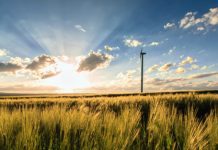 Pemerintah Targetkan Bangun 9.050 Megawatt Energi Terbarukan Sampai 2024