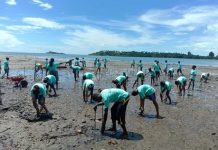 Pertamina RU VII dan Mitra Tanam 5.000 Pohon Bakau