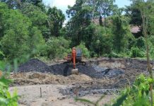 Cadangan Batu Bara RI Capai 39 Miliar Ton, Isu Lingkungan Jadi Tantangan