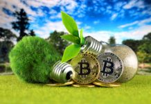 ‘Bitcoin Bisa Bantu Transisi ke Energi Hijau’, yang Benar?
