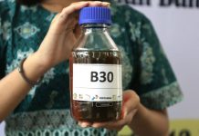 Peralihan Energi Fosil ke Energi Terbarukan Dijembatani B30