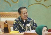 Pemerintah Didesak Manfaatkan Momentum Kenaikan Harga Batu Bara