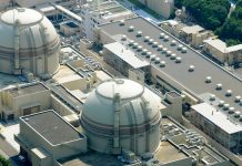 Pembangkit Listrik Tenaga Nuklir Jepang Lemah Dalam Tindakan Kontra-terorisme