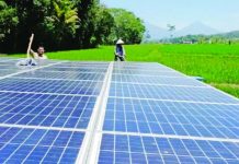 Industri Panel Surya Dalam Negeri Terus Dipacu