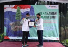 Antisipasi Abrasi dan Tsunami, Pertamina Tanam Ribuan Pohon Cemara Petramina