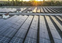 Dongkrak Bauran EBT, PLN Bakal Konversi 250 MW Pembangkit Diesel ke Surya pada 2022