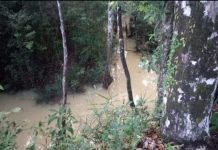 Air Sungai Jabung Keruh, Diduga Tercemar Limbah Perusahaan Batubara