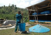 Peternak Mattoanging Maros Ubah Kotoran Sapi Jadi Bio Gas, Bisa Masak Gratis 10 Tahun Tanpa Beli Elpiji