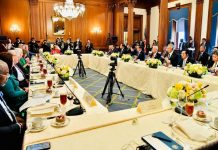 Jokowi Berkunjung ke AS, Berhasil Dapat Investasi untuk EBT