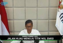 Tantangan Indonesia Mencapai Karbon Netral pada 2060