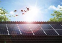 ESDM Prioritaskan Tenaga Surya Sebagai Pengganti Energi Fosil