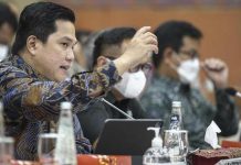 DPR Ingatkan Kementerian BUMN Perhatikan Ketahanan Pangan dan EBT