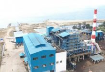 KEMENESDM: Program Subtitusi Biomassa Dongkrak Bauran EBT 1,8 Persen