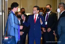 Indonesia Ingin Jerman Jadi Mitra Untuk Olah Potensi EBT