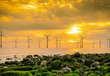 Sumber EBT Cukup Besar, Berbagai Jalan Ditempuh untuk Gapai Target Energi Bersih