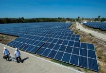 Aturan Dianggap Masih Simpang Siur, Asosiasi Pengusaha Sampaikan Kendala Penerapan Transisi Energi