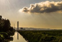 Soal Pendanaan Sebagai Tantangan Ekonomi Hijau, Indonesia Perlu Cari Investor yang Tepat