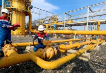 Pertamina Dukung RI Capai Target Emisi Nol Bersih pada 2060 pertamina