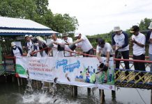 Voluntary Days Pertamina 2022, Kunjungi Desa Energi Berdikari di Kutawaru, Cilacap