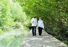 Agenda KTT G20 di Hutan Mangrove jadi Simbol Penyelamatan Iklim