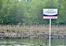 Targetkan Pengurangan Emisi Karbon Melalui Hutan Pertamina