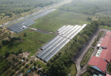 Bangun PLTS di Jababeka, Pertamina dukung Net Zero Industrial Cluster Pertama di Asia Tenggara