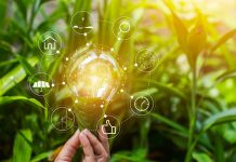 Xurya Daya Indonesia Produksi 589 kWh Energi Bersih Sepanjang 2022