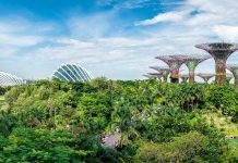 Pemukiman Net Zero: Strategi Indonesia Menghadapi Krisis Energi