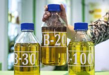 Implementasi Biodiesel Dorong Bisnis Sawit Berkelanjutan