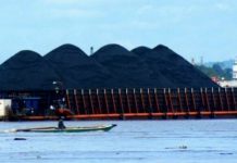 Cegah Penyelundupan Satwa dan Minerba, TNI AL Bakal Bantu Kemenhub Pelototi ‘Pelabuhan Tikus’