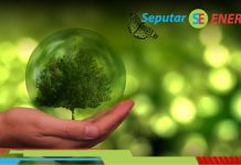 Konsisten Terapkan Penggunaan Energi Terbarukan, MLBI Lakukan ini!