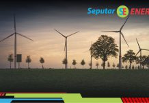Investasi Energi Terbarukan di Negara Berkembang: Tantangan dan Potensi