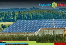 Interkoneksi Jaringan jadi Faktor Kunci Wujudkan Integrasi Energi Terbarukan