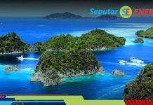 Papua Memiliki Potensi Besar Energi Terbarukan yang Perlu Dikembangkan Papua punya potensi kembangkan energi terbarukan
