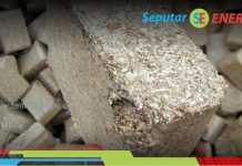 Pemanfaatan Limbah Pertanian dan Kayu sebagai Sumber Energi Biomassa