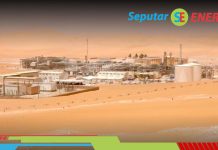MLN Algeria, Lapangan Migas Pertama Yang Dioperasikan Pertamina di Luar Negeri pertamina