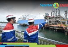 Kantongi USD 205 Juta, Laba Bersih Pertamina International Shipping Meroket 63% pertamina